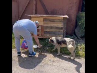 kind man feeds the homeless